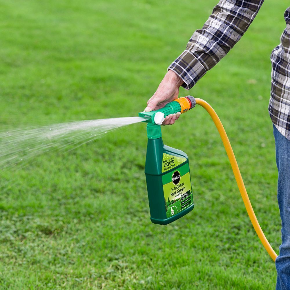 Miracle-Gro® EverGreen® Fast Green Spray & Feed 1 litre (100m²)