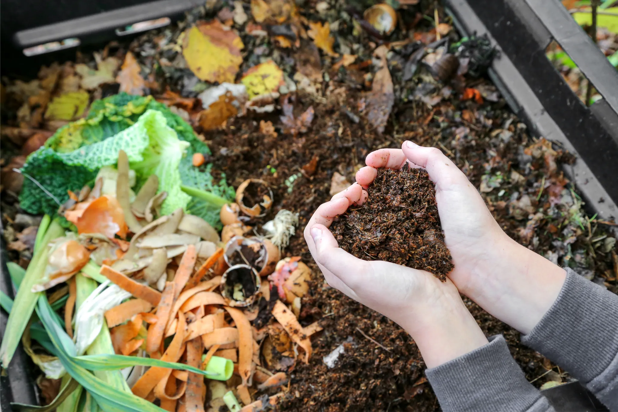 Compost Bin
