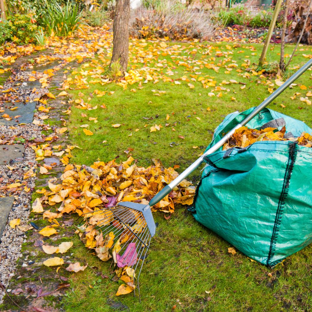 garden maintenance