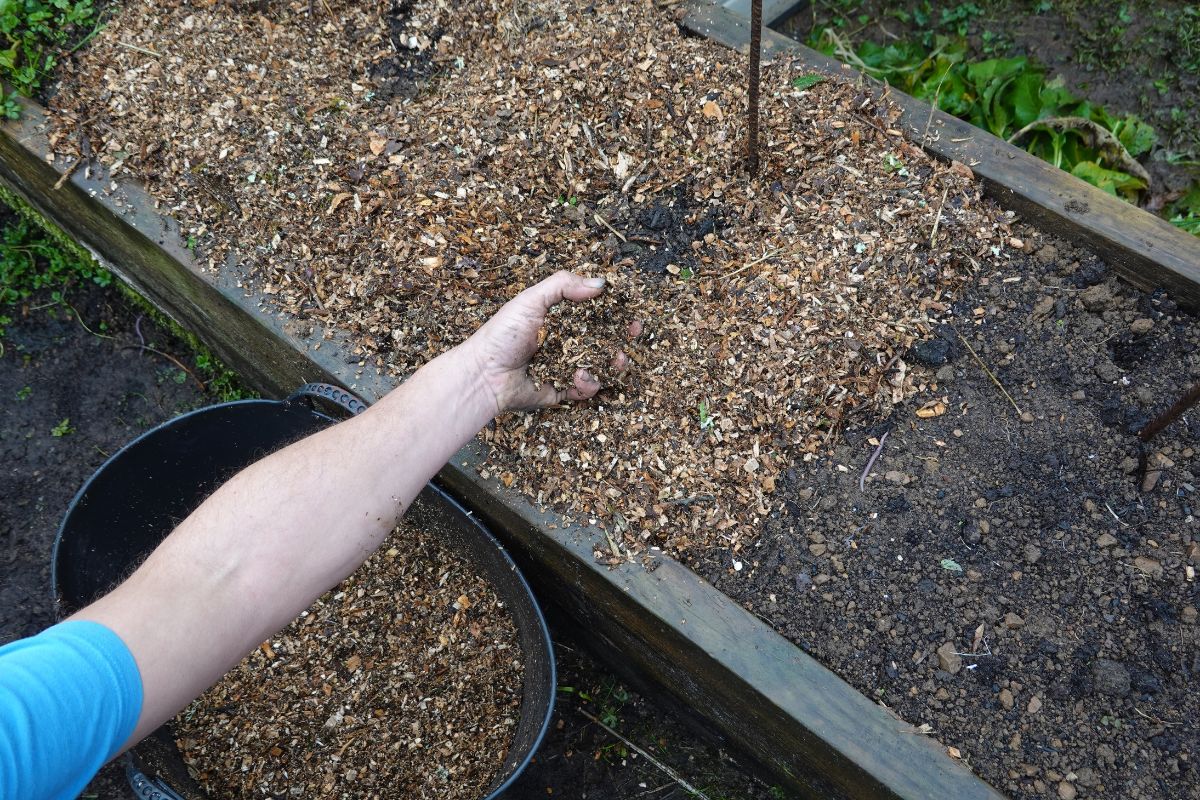 Mulching Mulching