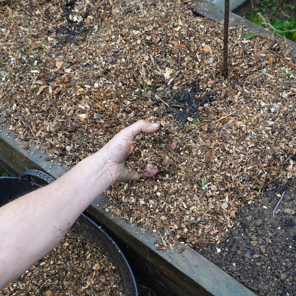 Mulching Mulching