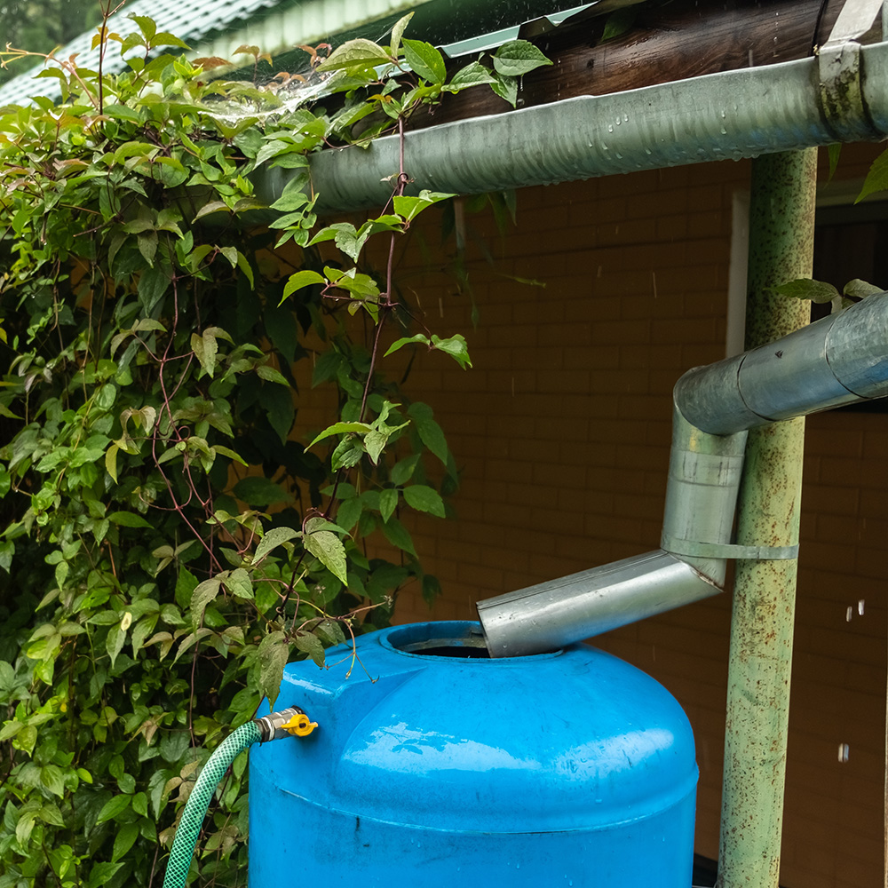 Rainwater collection Rainwater collection