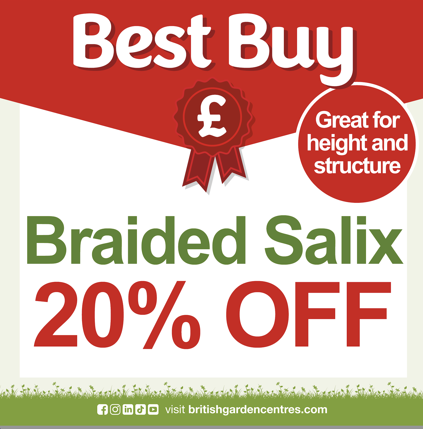 Braided Salix Braided Salix